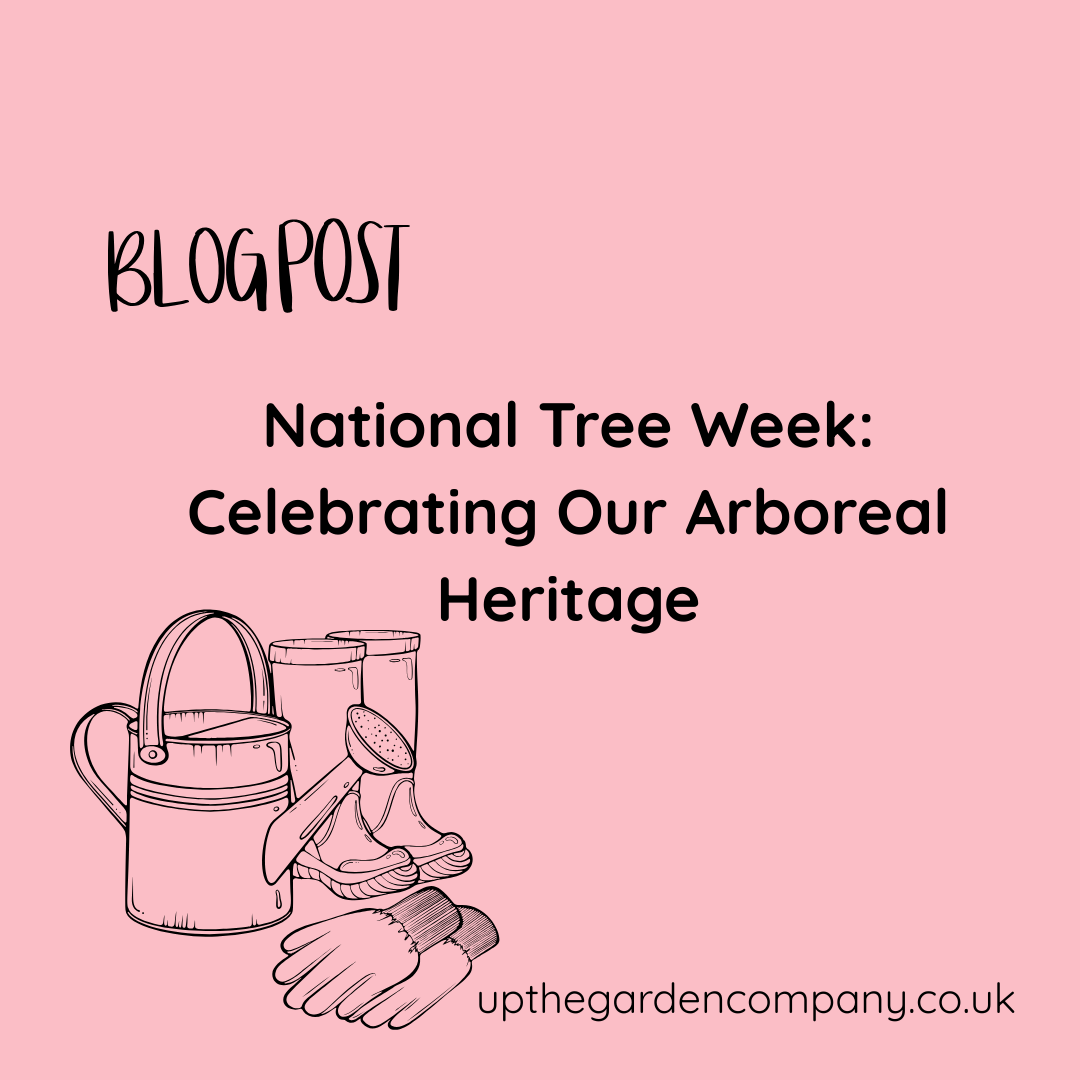National Tree Week: Celebrating Our Arboreal Heritage