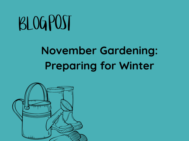 November Gardening: Preparing for Winter