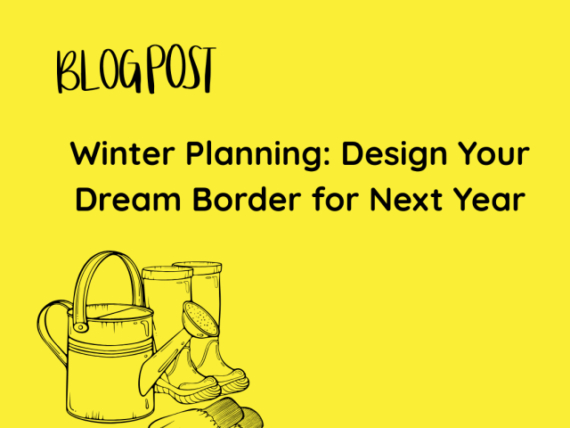 Winter Planning: Design Your Dream Border for Next Year