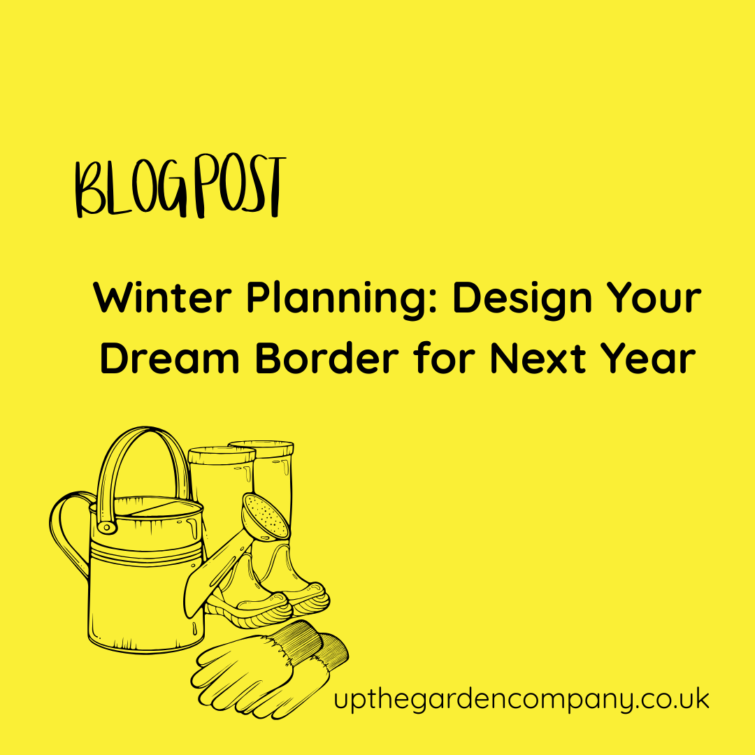 Winter Planning: Design Your Dream Border for Next Year