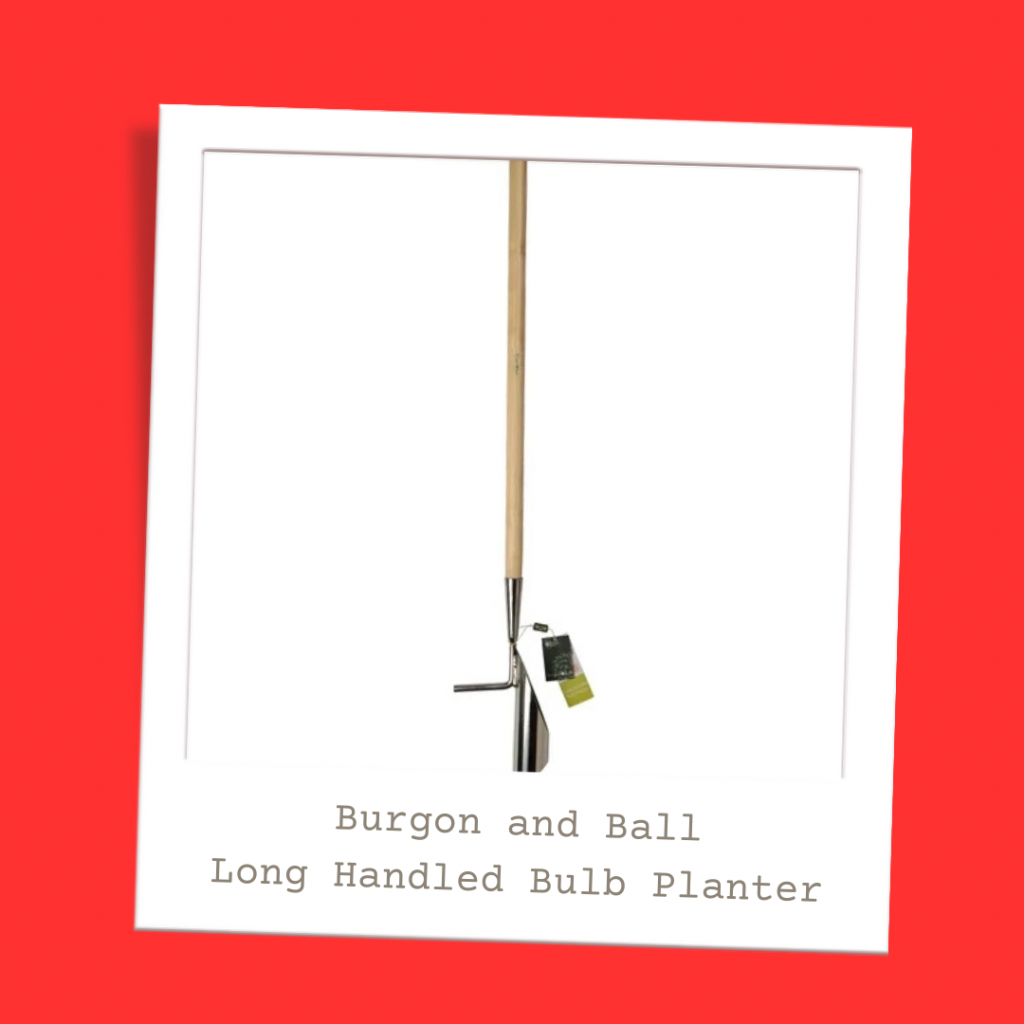 Burgon and Ball. Long Handled Bulb Planter Garden Tool.
