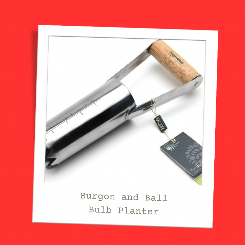 Burgon and Ball Hand-Held Bulb Planter Garden Tool