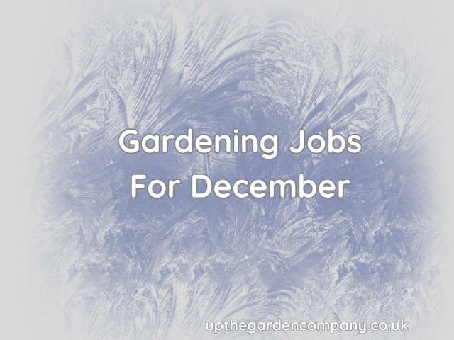 Gardening Jobs for December