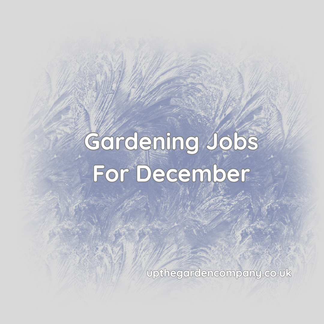 Gardening Jobs For December.