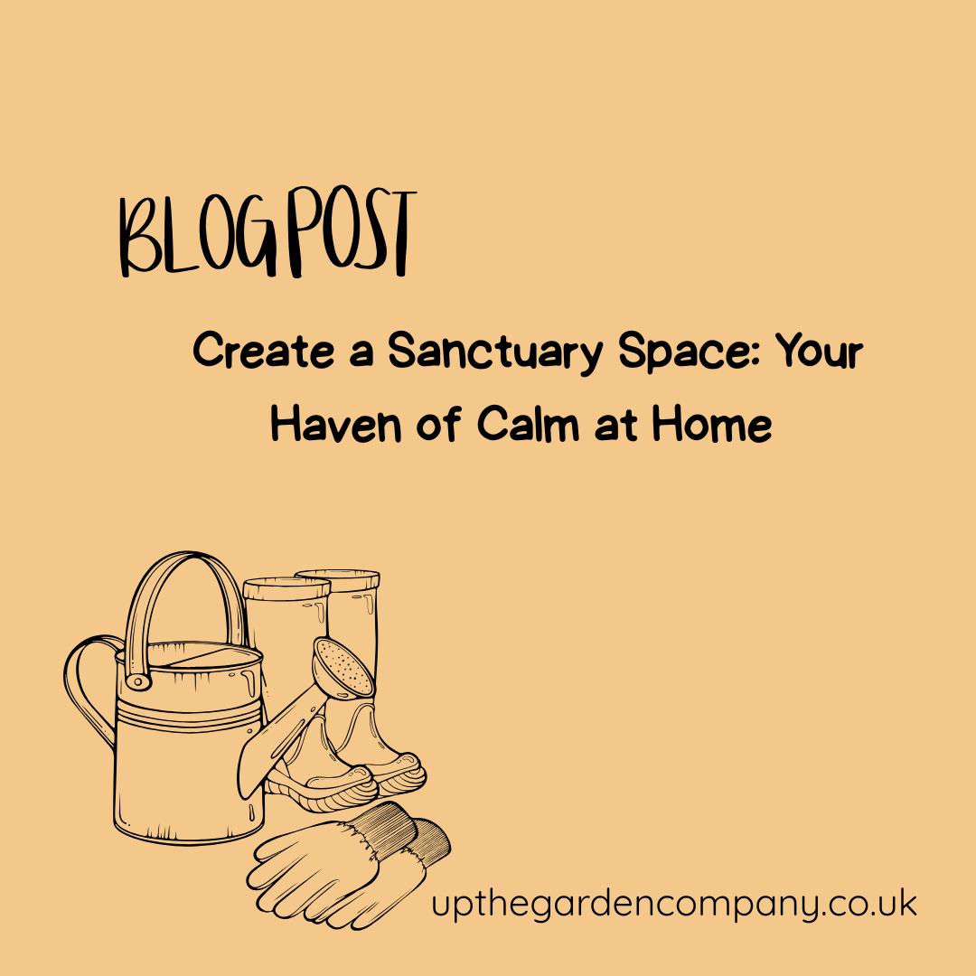 Blog Post. Create a sanctuary space your haven of calm at home
