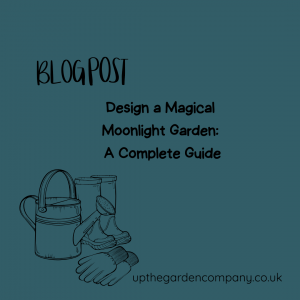 Blog Post. Design a Magical Moonlight Garden - A Complete Guide