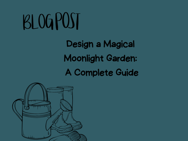 Design a Magical Moonlight Garden: A Complete Guide