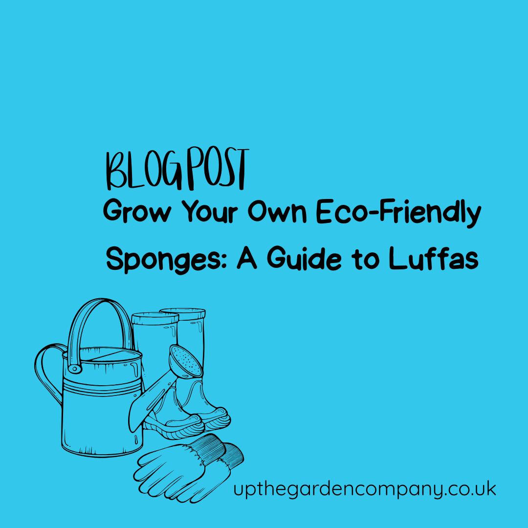 Grow Your Own Eco-Friendly Sponges: A Guide to Luffas