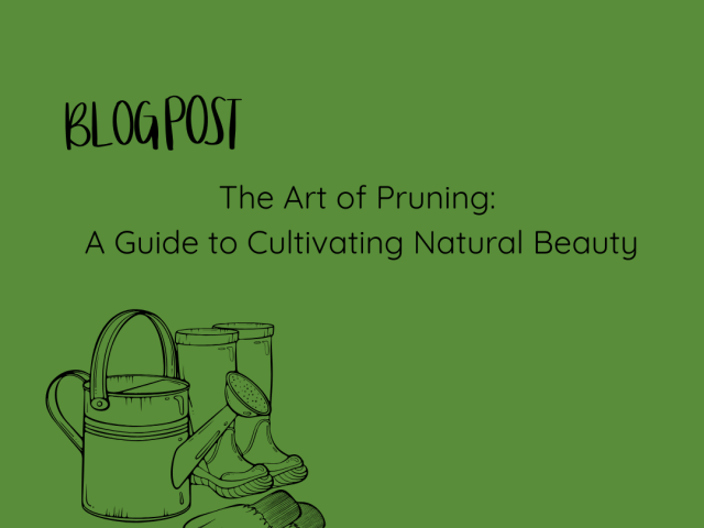 The Art of Pruning: A Guide to Cultivating Natural Beauty