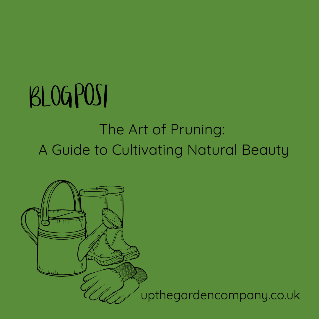 The Art of Pruning: A Guide to Cultivating Natural Beauty