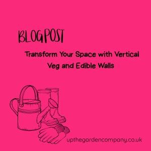 Blog Post. Transform your space with vertical veg and edible walls