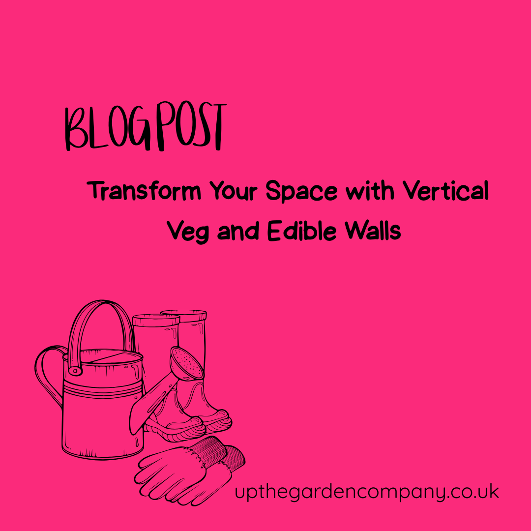 Blog Post. Transform your space with vertical veg and edible walls