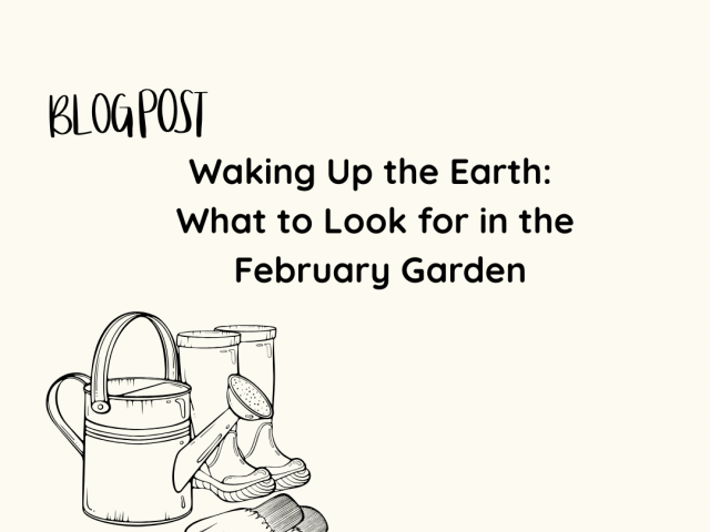 Waking Up the Earth: What to Look for in the February Garden