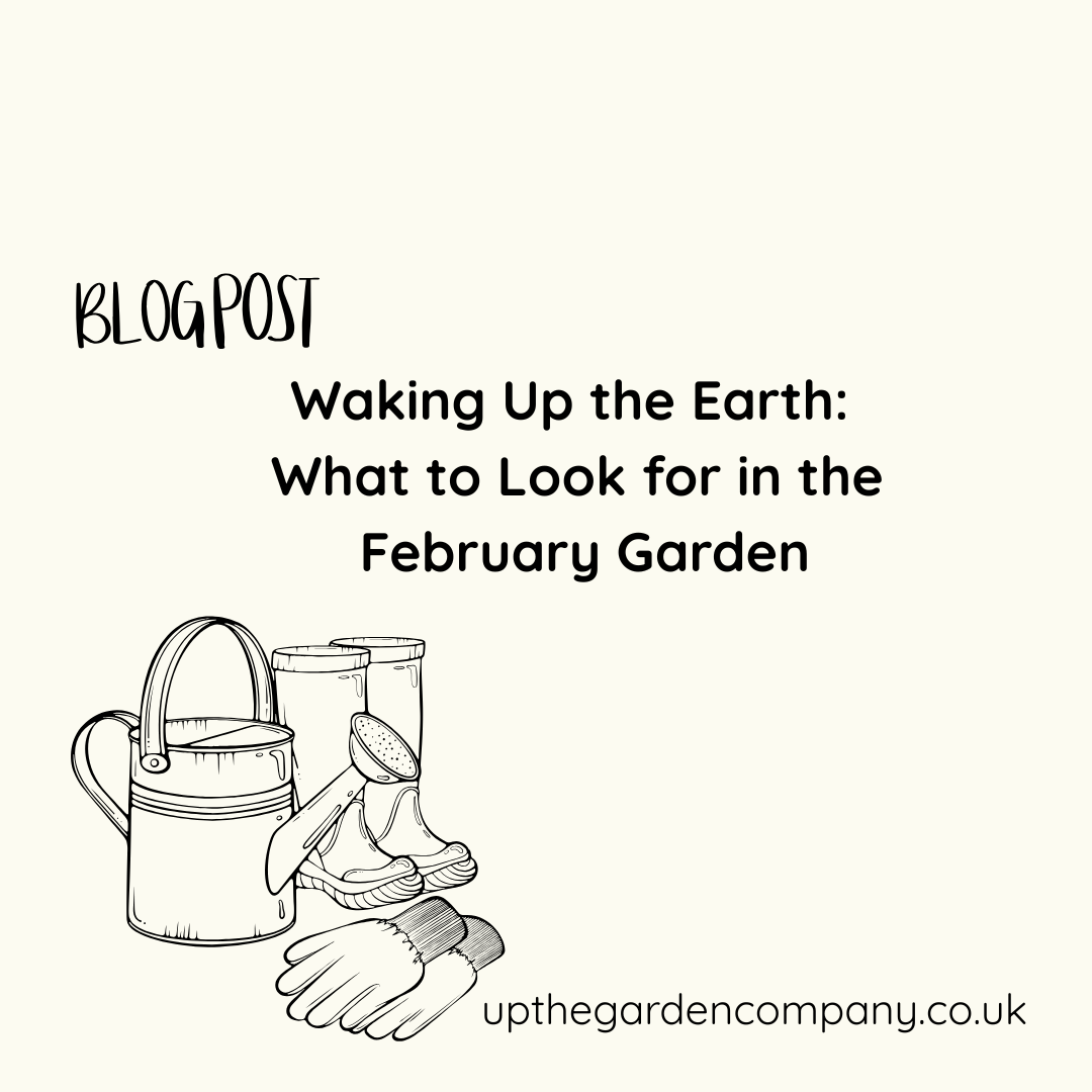 Waking Up the Earth: What to Look for in the February Garden