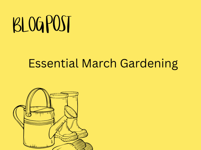 Essential March gardening jobs to get your garden ready for spring