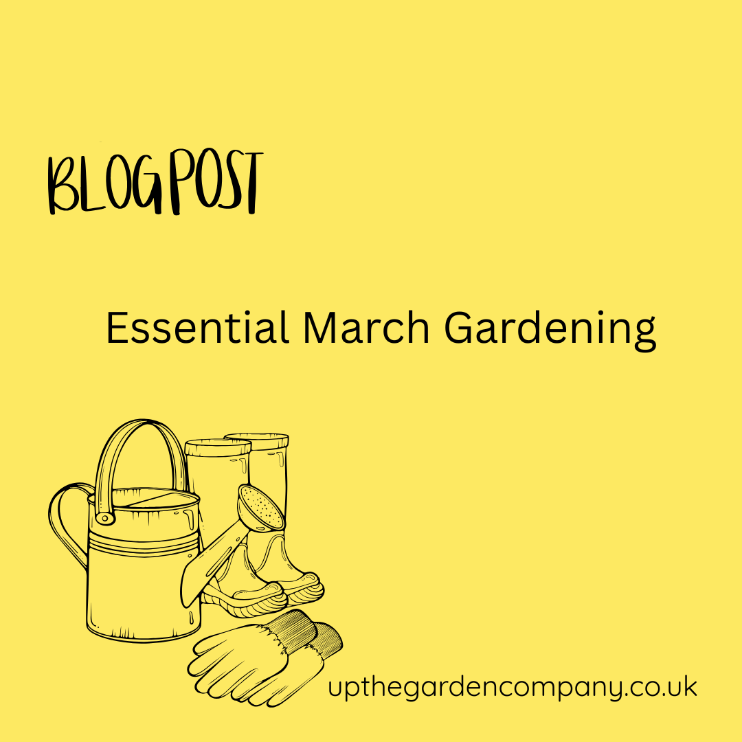 Essential March gardening jobs to get your garden ready for spring