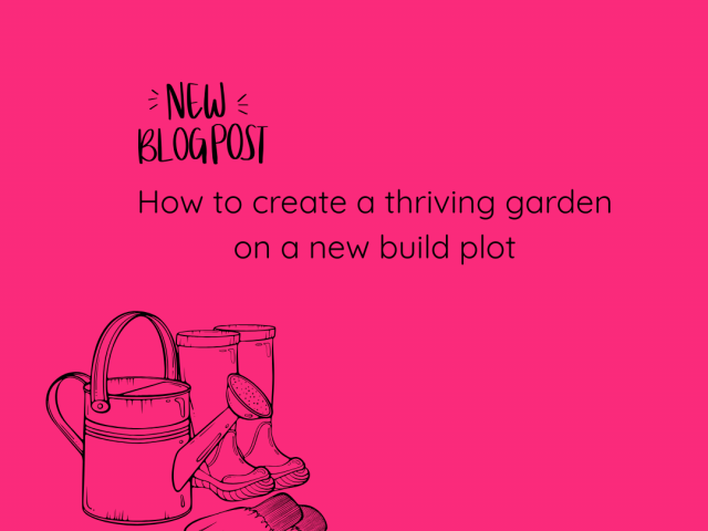 How to create a thriving garden on a new build plot