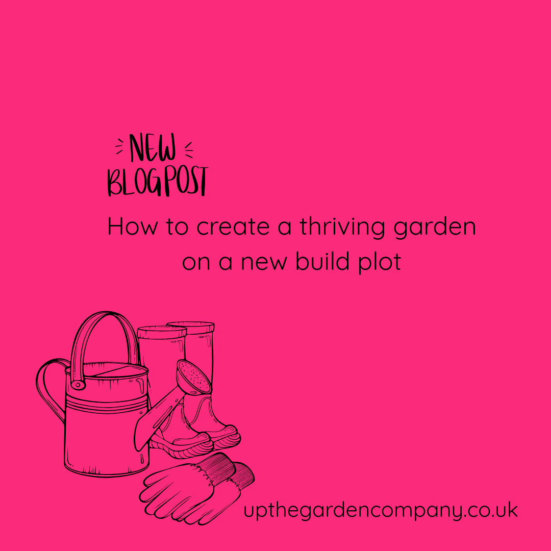 Blog Post. How to create a thriving garden on a new build plot