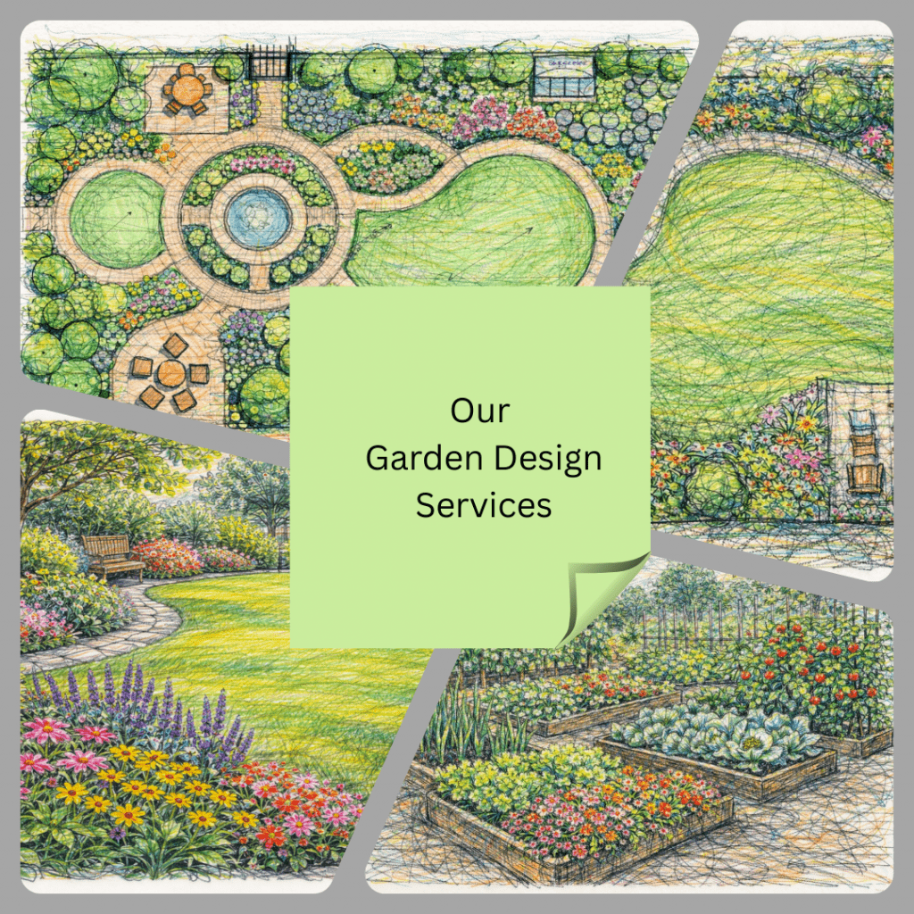 Our Garden Design Services.
Copies of Hand sketches of a garden design plan, lawn garden design, perennial boards and raised vegetable beds.