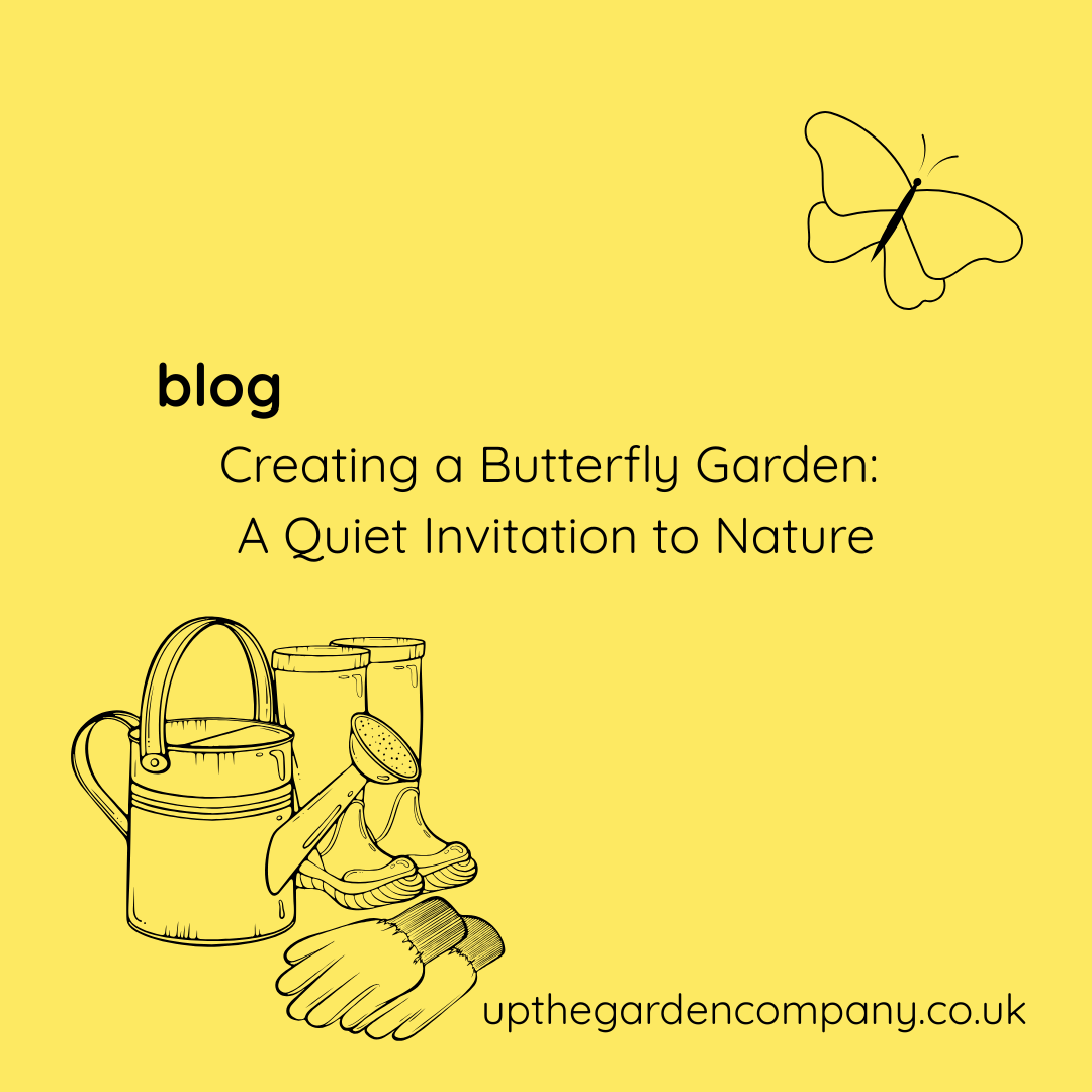 Creating a Butterfly Garden: A Quiet Invitation to Nature