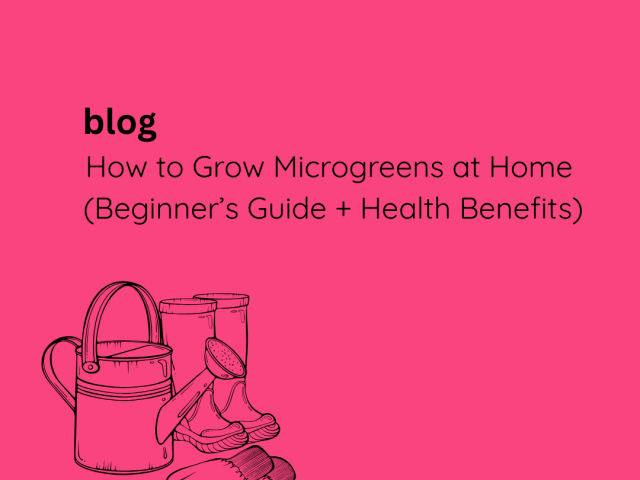 How to Grow Microgreens at Home (Beginner’s Guide + Health Benefits)
