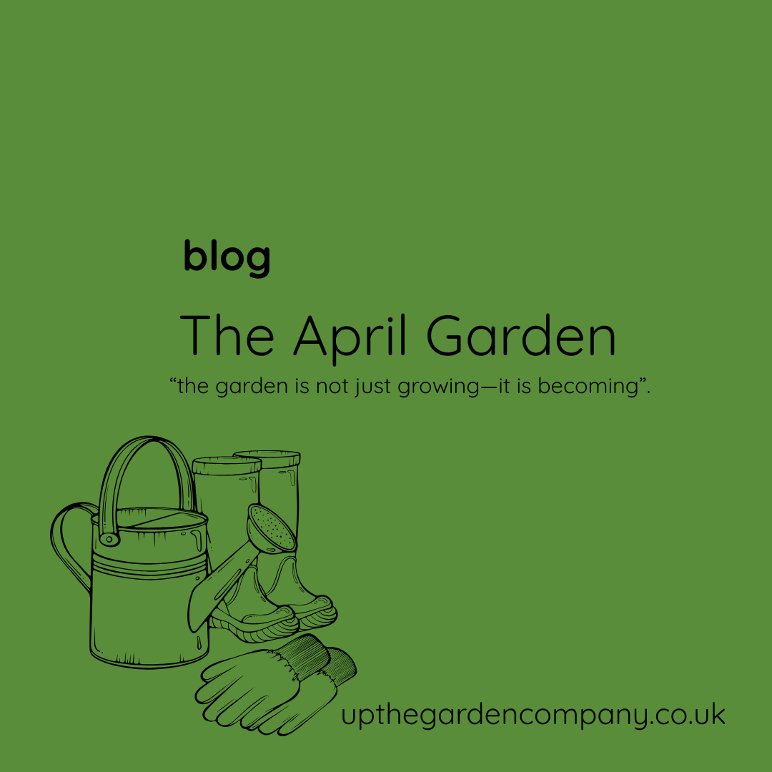 Blog Post The April Garden April, the garden is not just growing—it is becoming.