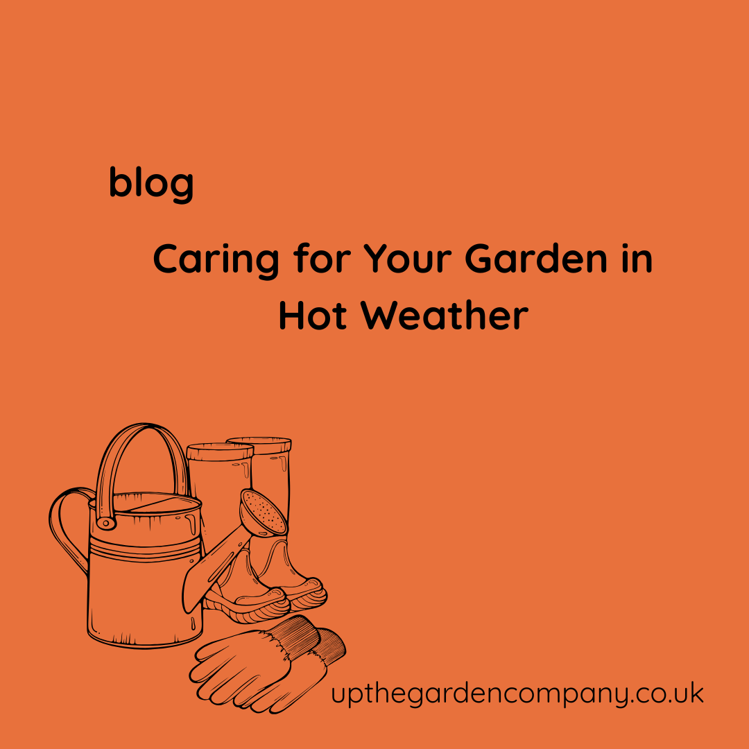 Caring for Your Garden in Hot Weather