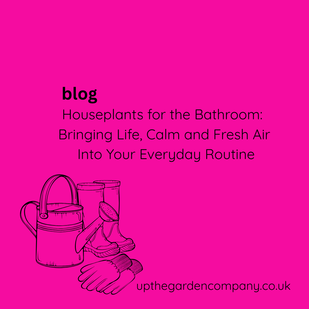 Houseplants for the Bathroom: Bringing Life, Calm and Fresh Air Into Your Everyday Routine