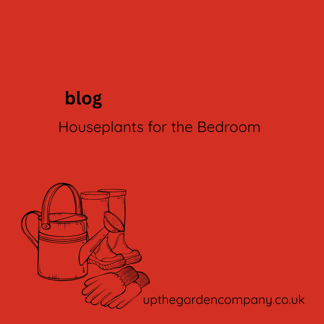 Houseplants for the Bedroom