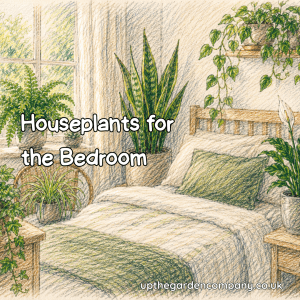 Houseplants for the Bedroom. Colourful sketch of houseplants in the bedroom.
