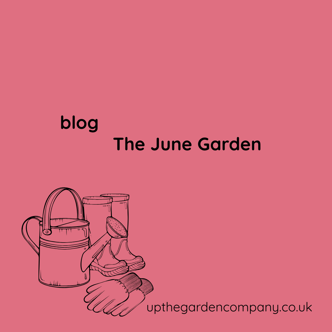 The June Garden