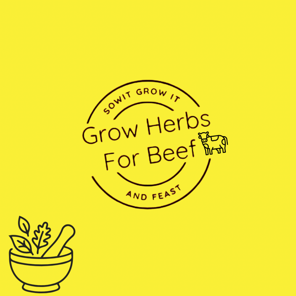 Grow Herbs for Beef