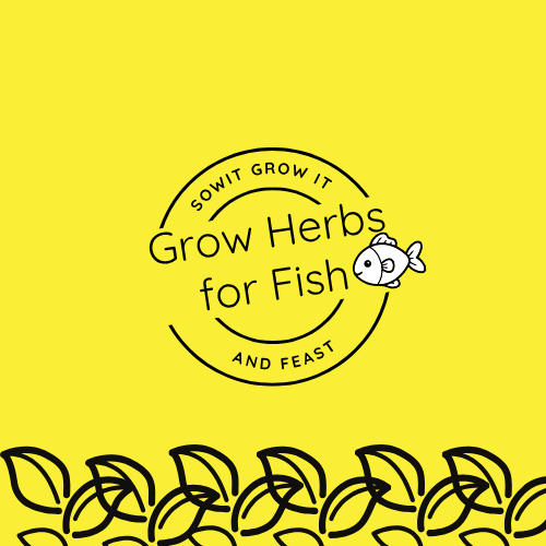 Grow Herbs for Fish