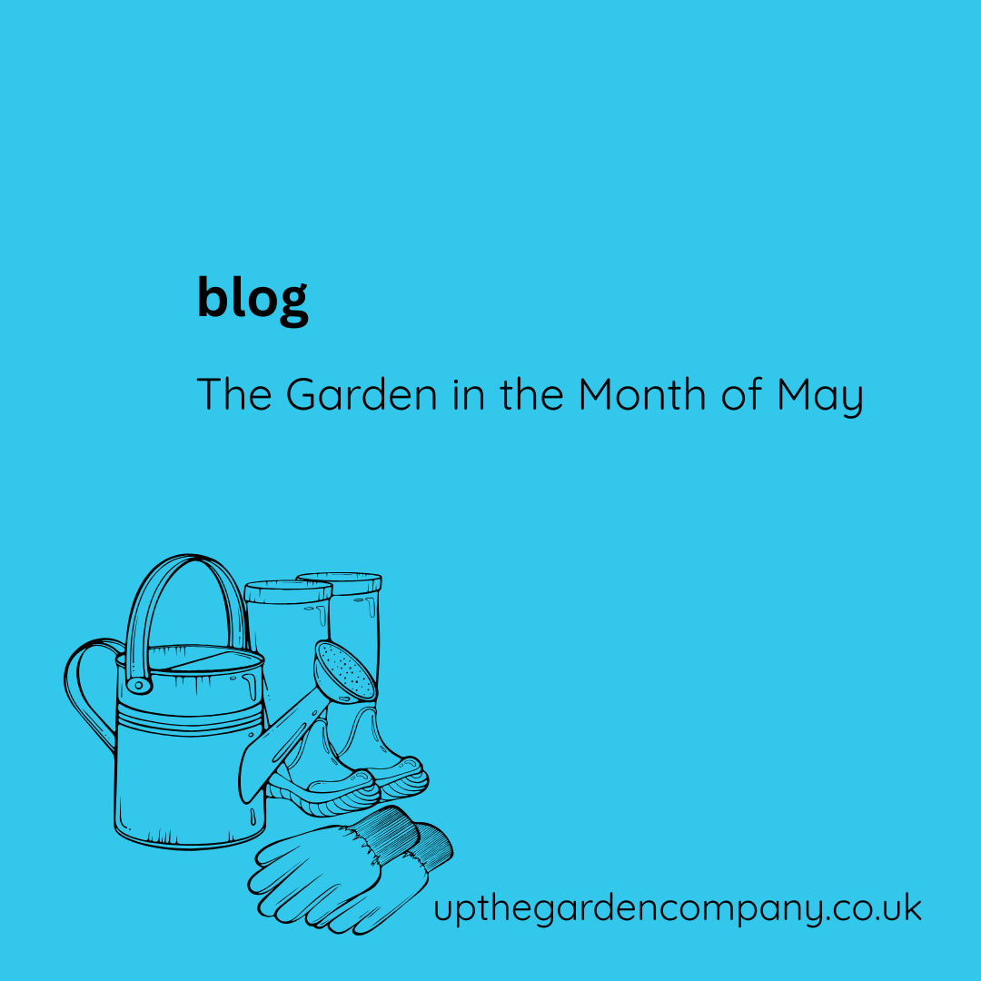 Borders begin to fill, colours deepen, and the garden starts to feel less like a collection of plants and more like a place with its own rhythm and voice.