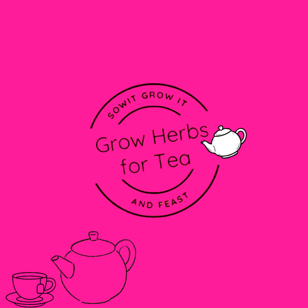 grow herbs for tea
