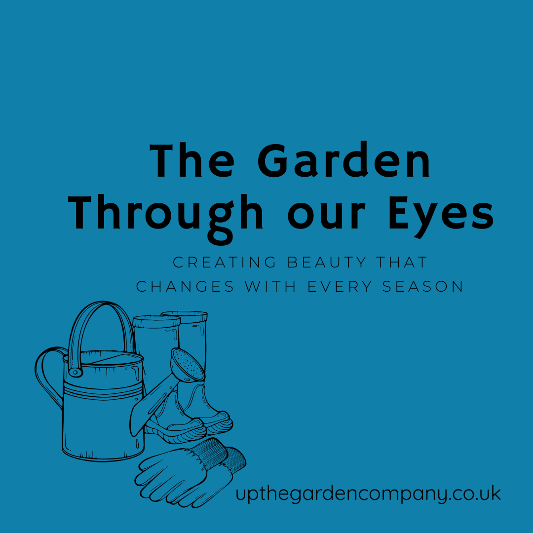 Blog: The Garden Through our Eyes