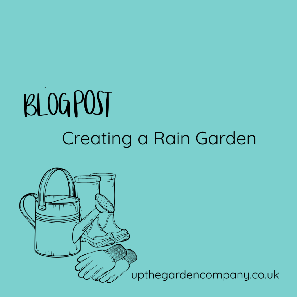  Rain Gardens