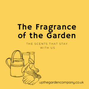 Blog Post: The Fragrance of the Garden