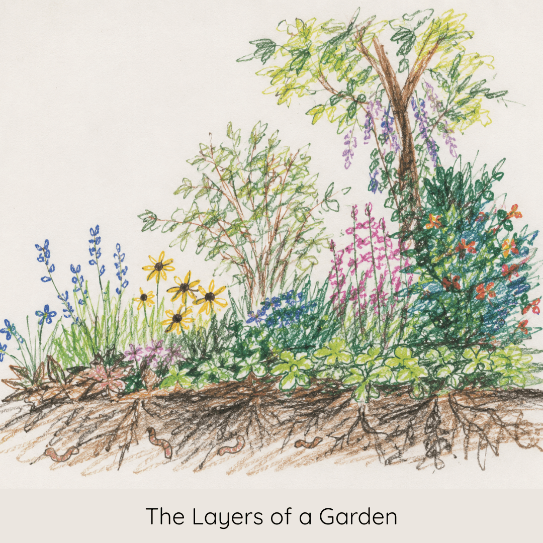 The Layers of a Garden