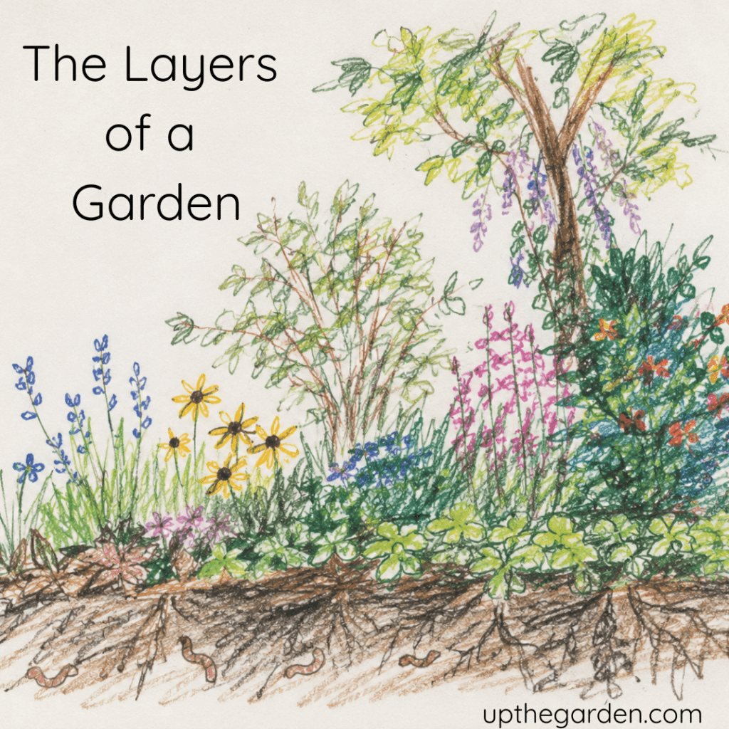 The Layers of a Garden