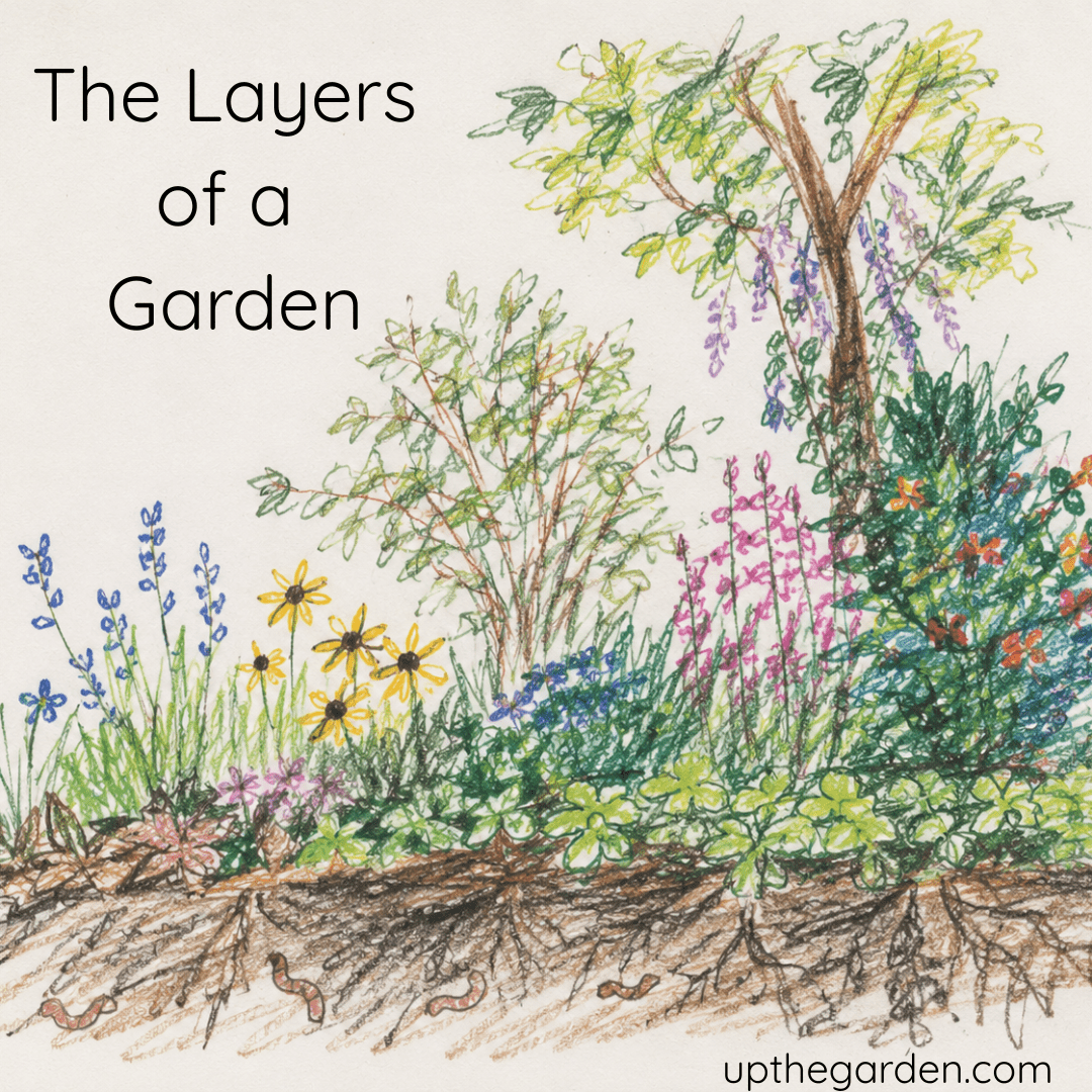 The Layers of a Garden