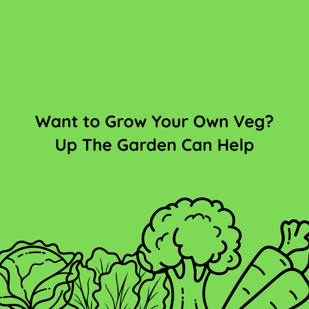 Want to Grow Your Own Veg?  Up The Garden Can Help?
outline of vegetables