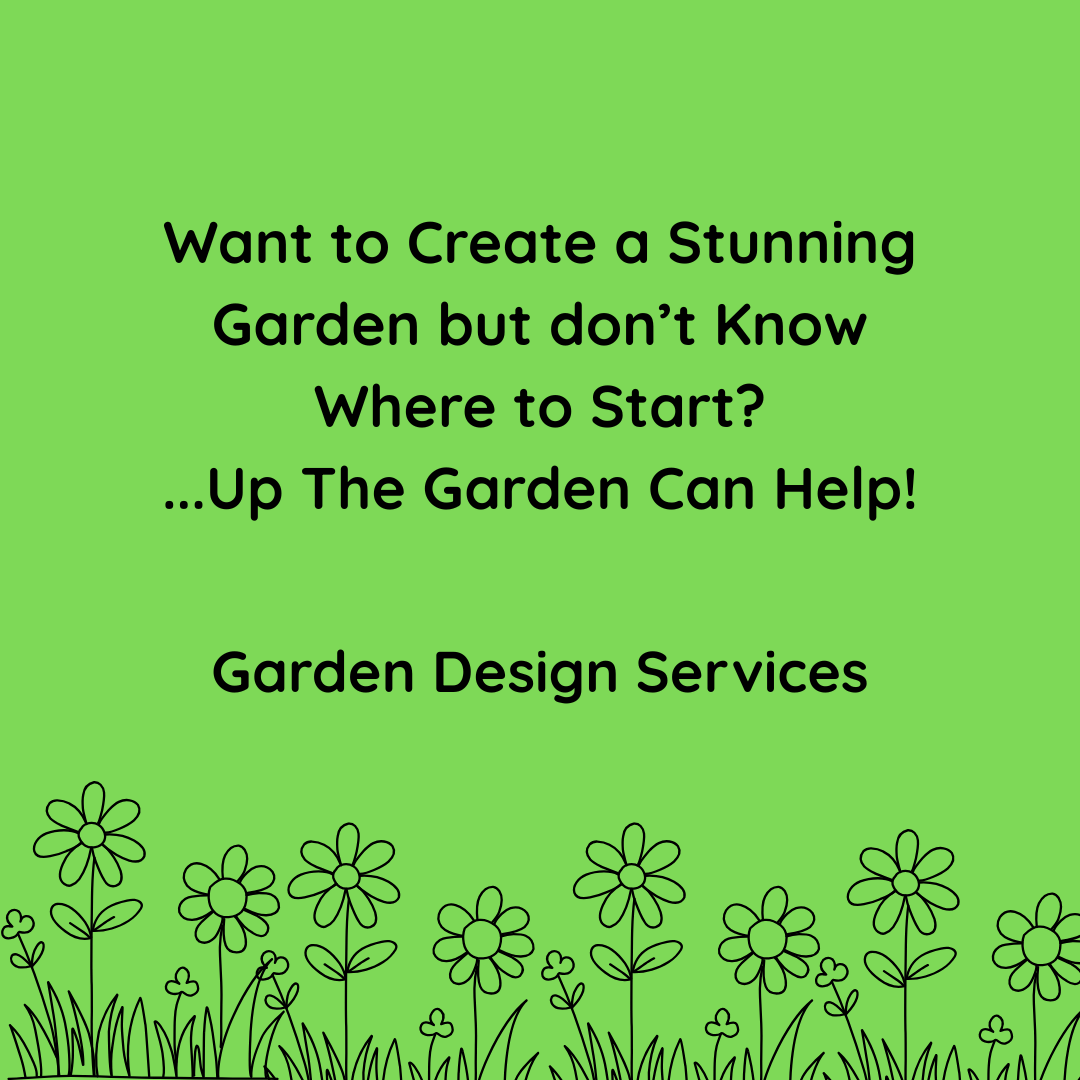 Want to Create a Stunning Garden but don't know where to Start?  Up The Garden Can Help!
Garden Design Service