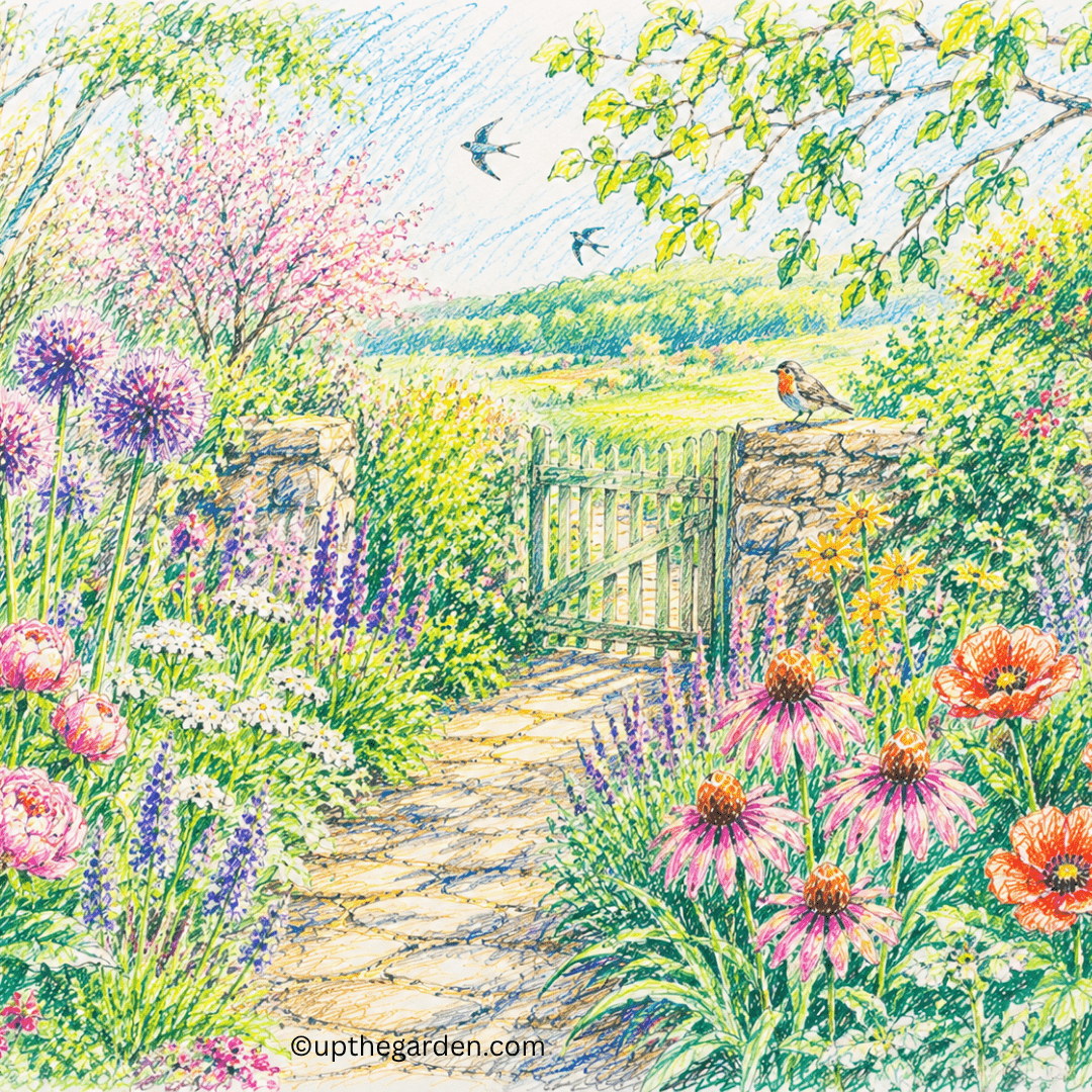The Garden Through Our Eyes: Seasonal Beauty